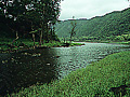 keokea