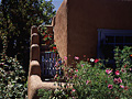 taos
