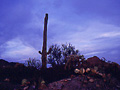 tucson